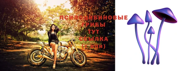 2c-b Баксан