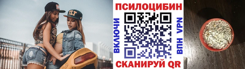 закладка Удомля Галлюциногенные грибы Cubensis